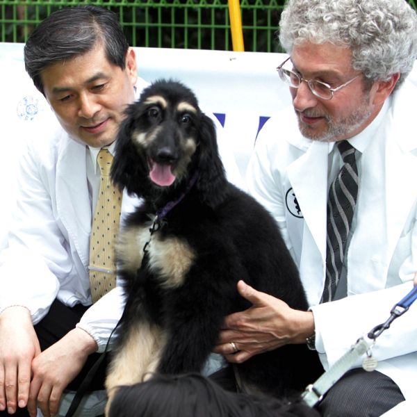 Deux scientifiques en blouse blanche observent un chien assis entre eux, représentant la recherche sur le clonage animal et les débats éthiques qu’elle soulève.