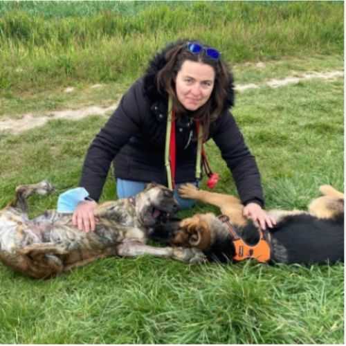 delphine dumais comportementaliste educatrice chien chevannes