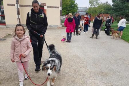 Une petite fille de 5 ans promène fièrement un berger australien en double laisse, accompagnée d’une adulte, lors d’une animation canine à Saint-Doulchard.