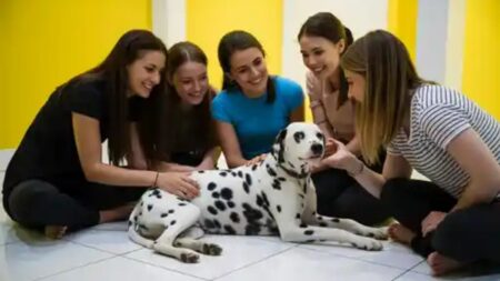 Illustration montrant un groupe de jeunes réunis autour d’un chien tacheté dans une salle colorée, symbolisant la médiation animale en milieu scolaire.