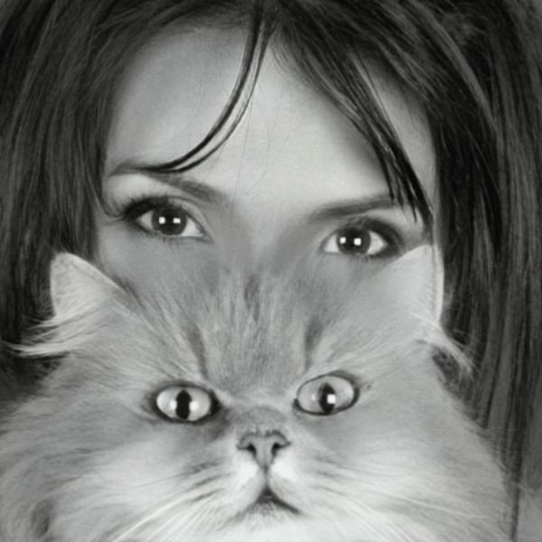 Rex & Minou #16 Nos chiens vivent avec nous… et pourtant sans nous 5 Laurence Couret