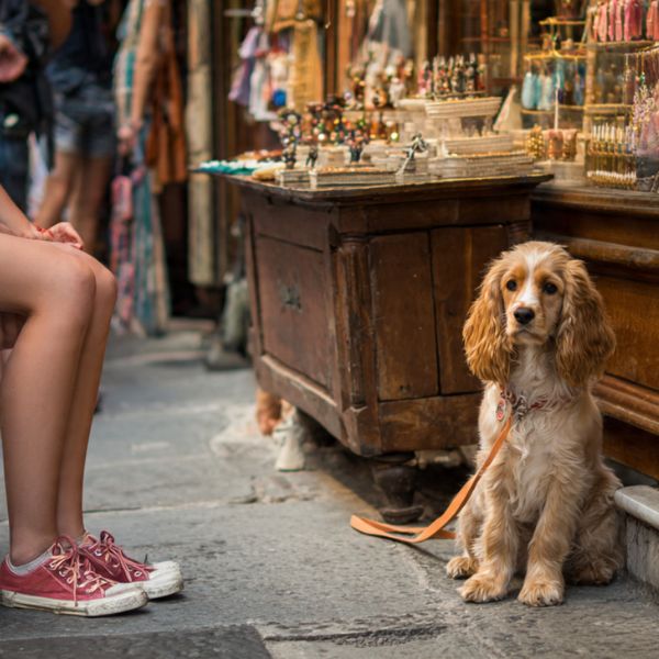 Illustration : Une femme fait du lèche-vitrine dans une petite rue. Son Cocker Spaniel est assis calmement à côté d'elle, tenu en laisse courte. Crédit photo : Planipets.