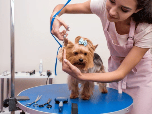 {{brizy_dc_image_alt imageSrc=