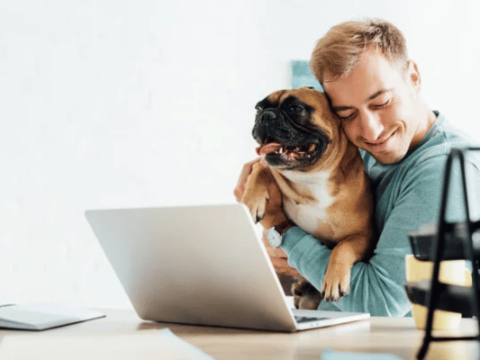 {{brizy_dc_image_alt imageSrc=