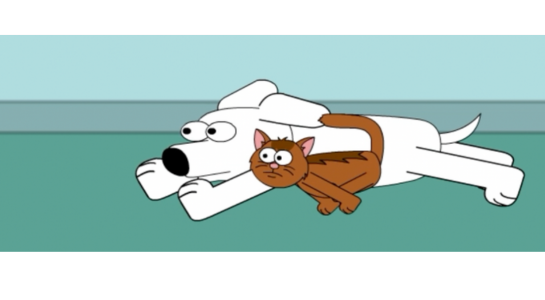 {{brizy_dc_image_alt imageSrc=