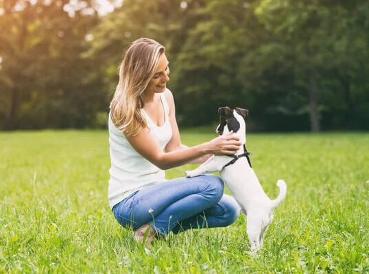 Éducateur Canin à Wingles