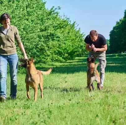 éducateur canin à Paris 11